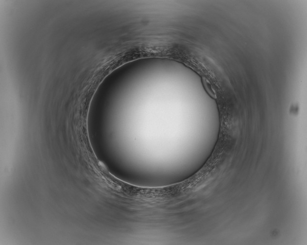 X0000094970817200711291501