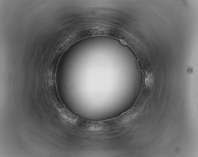 X0000094970819200711291501