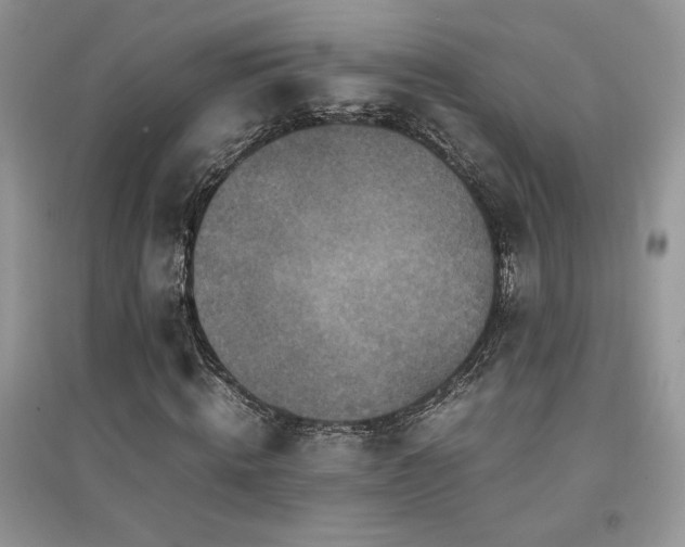 X0000094970820200711291501