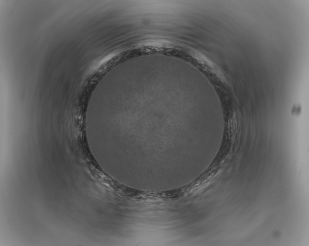 X0000094970822200711291501
