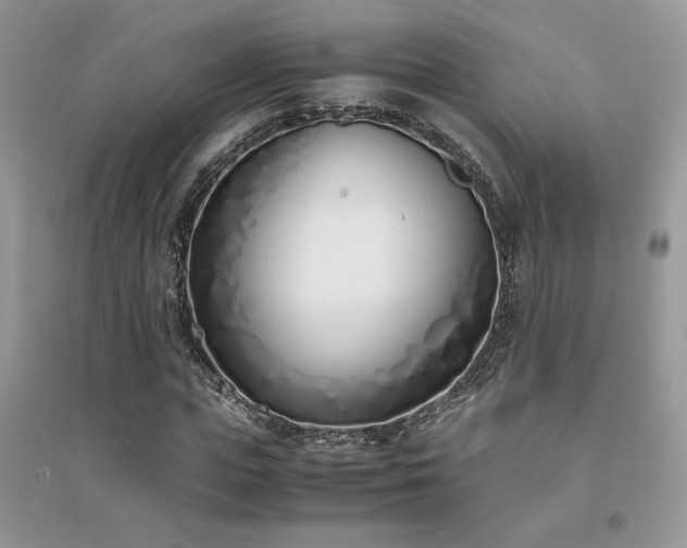 X0000094970823200711291501