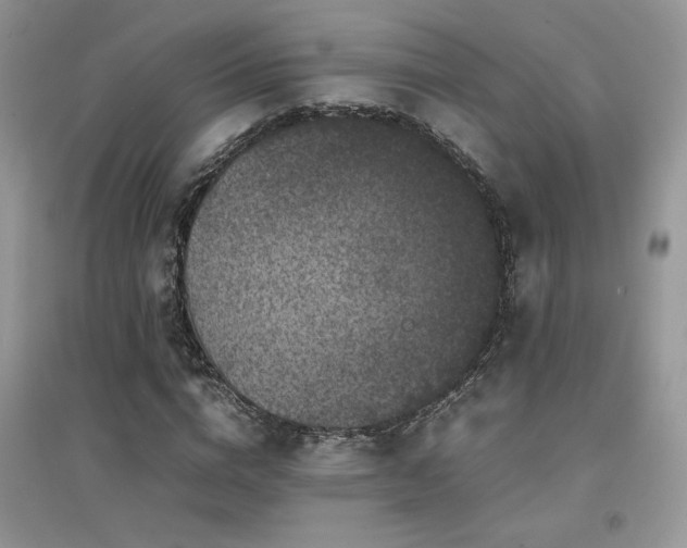 X0000094970824200711291501