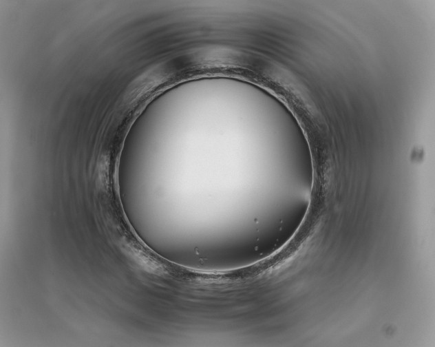 X0000094970825200711291501