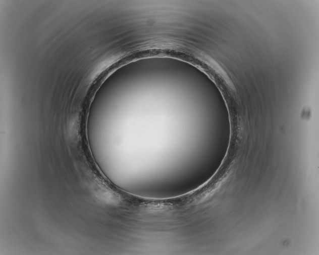 X0000094970826200711291501