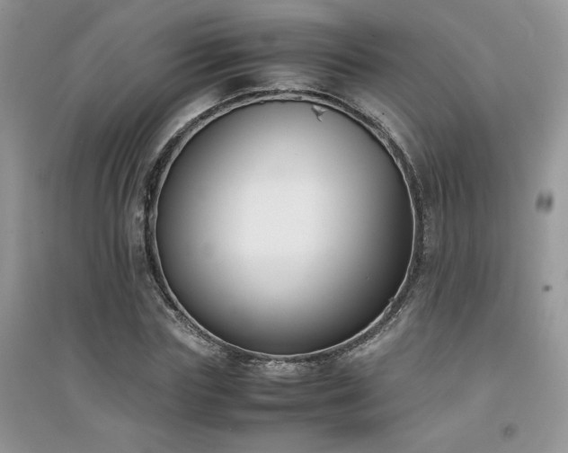 X0000094970827200711291501