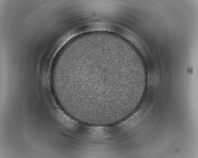 X0000094970828200711291501