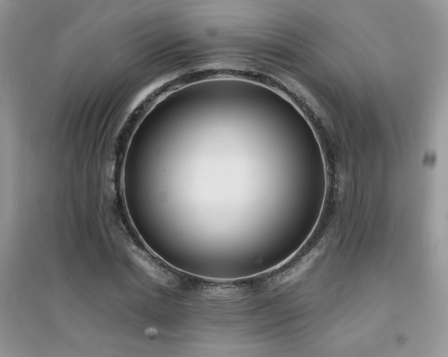 X0000094970830200711291501