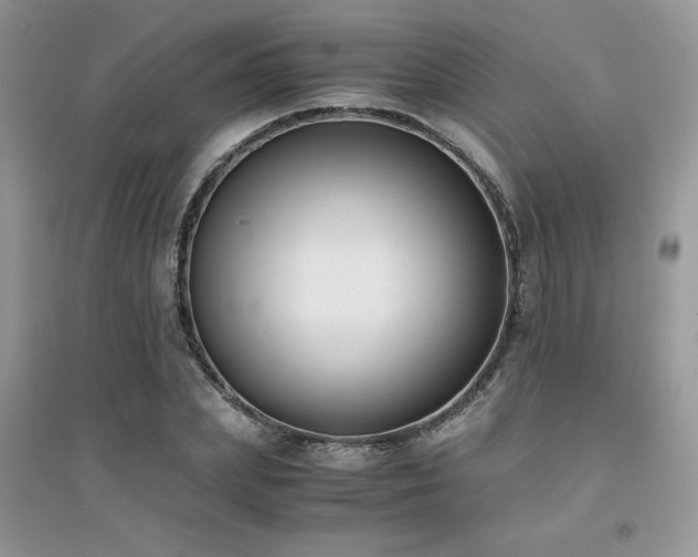 X0000094970831200711291501