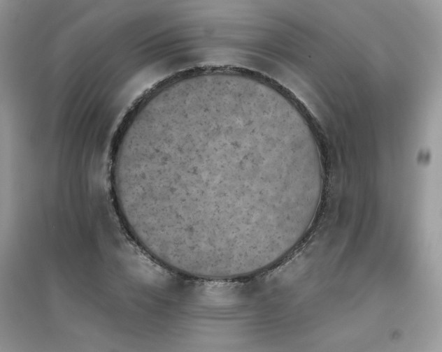 X0000094970832200711291501