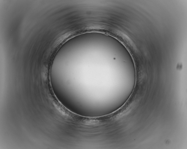 X0000094970833200711291501