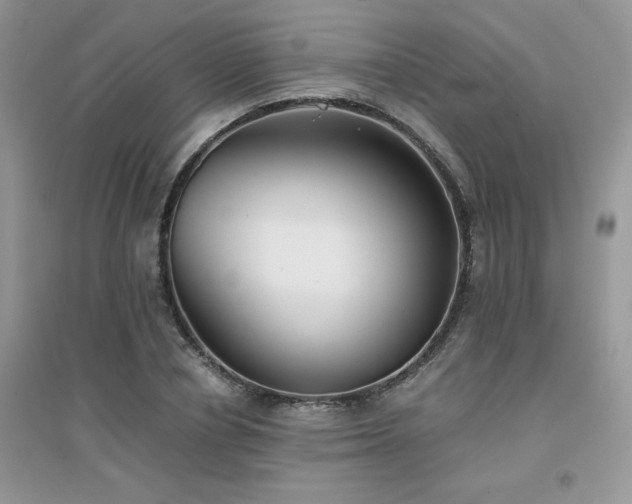X0000094970834200711291501
