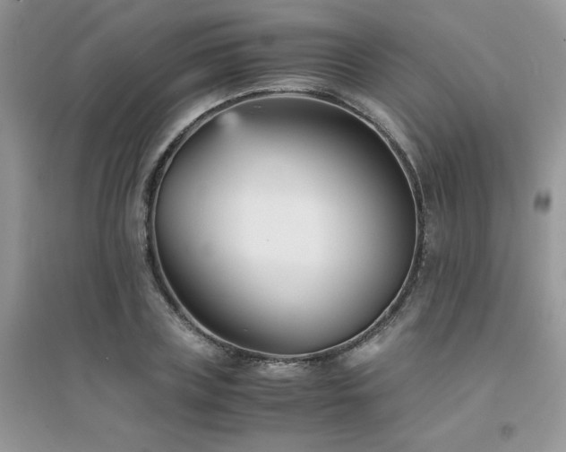 X0000094970835200711291501