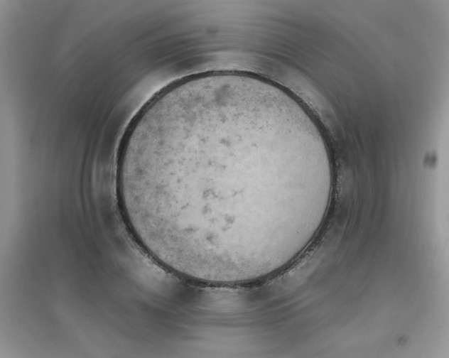 X0000094970836200711291501