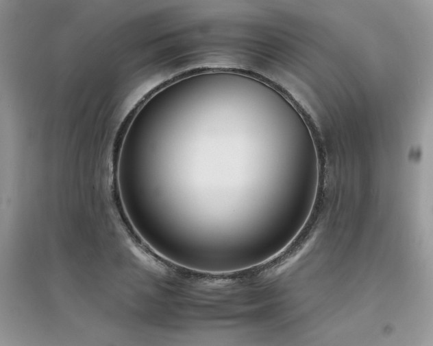 X0000094970837200711291501