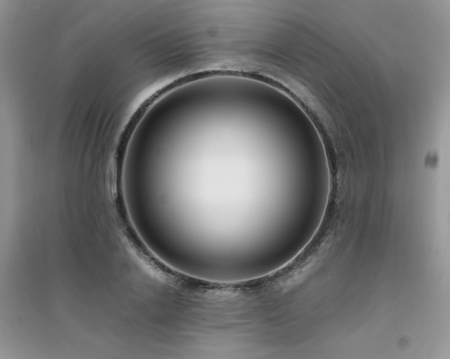 X0000094970838200711291501