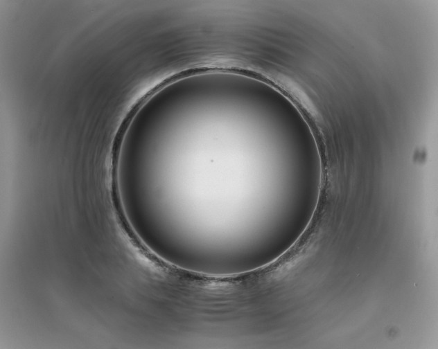 X0000094970839200711291501