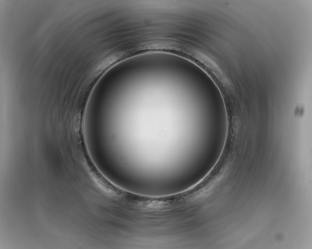 X0000094970841200711291501