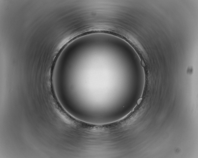 X0000094970842200711291501