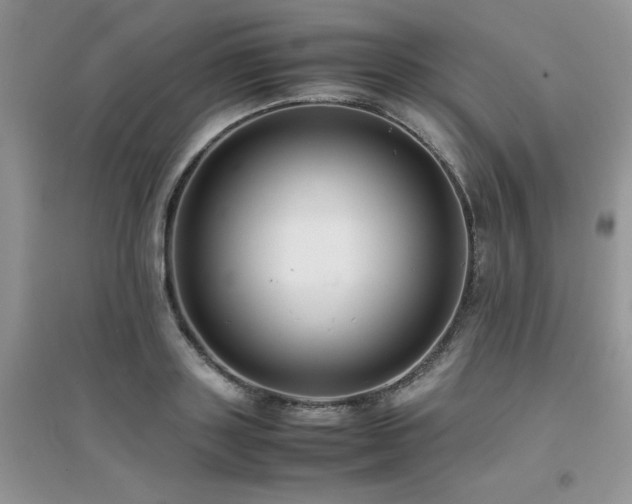 X0000094970843200711291501