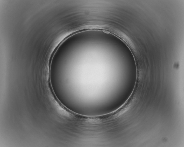 X0000094970844200711291502