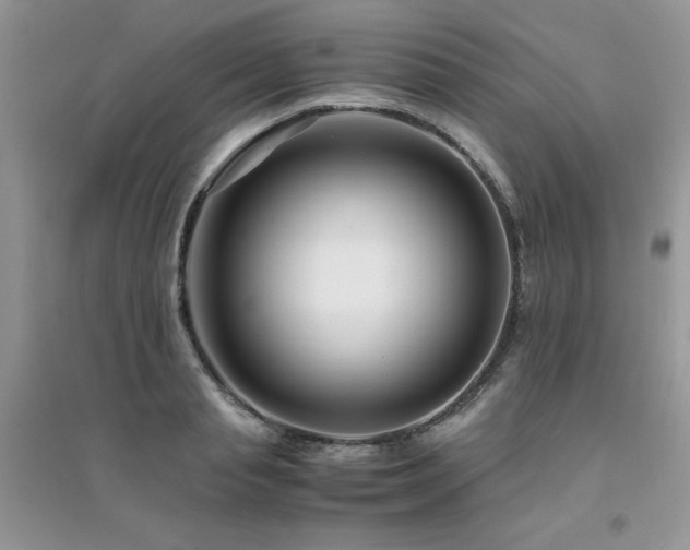 X0000094970845200711291502