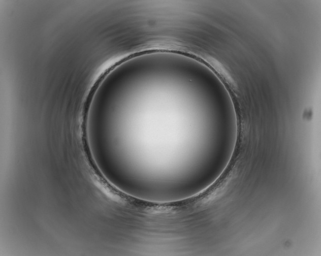 X0000094970846200711291502