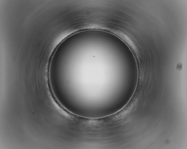 X0000094970847200711291502