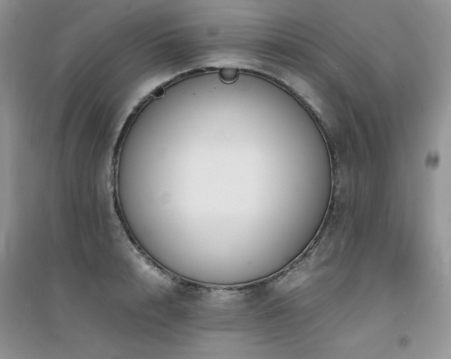 X0000094970848200711291502