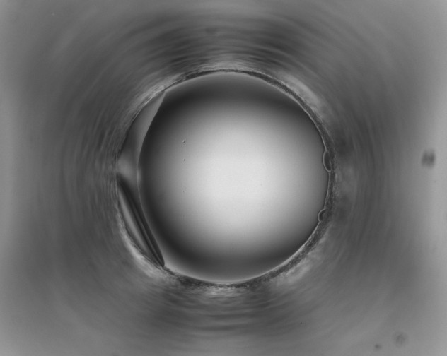 X0000094970849200711291502