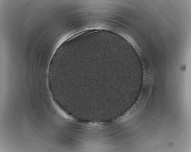 X0000094970850200711291502