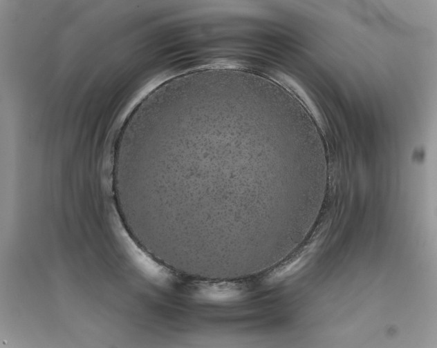 X0000094970851200711291502