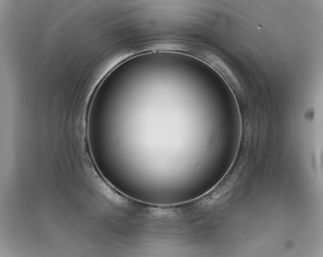 X0000094970852200711291502