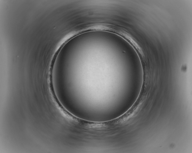 X0000094970853200711291502