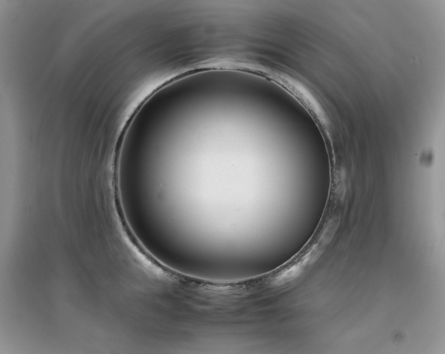 X0000094970855200711291502
