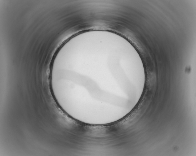 X0000094970856200711291502