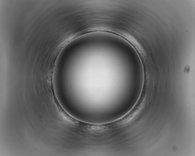 X0000094970857200711291502