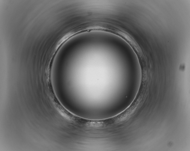 X0000094970858200711291502