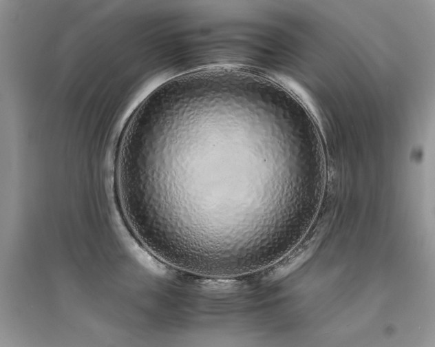 X0000094970859200711291502