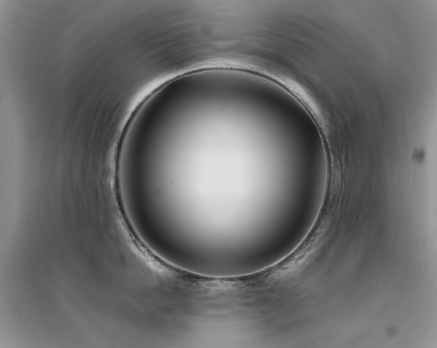 X0000094970862200711291502