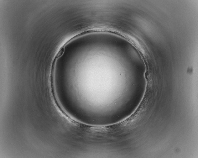 X0000094970863200711291502