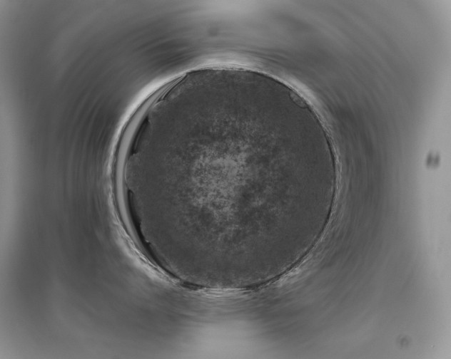 X0000094970864200711291502