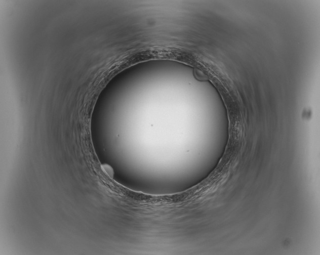 X0000094970865200711291501