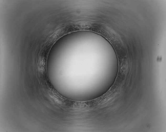 X0000094970866200711291501