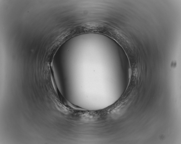 X0000094970868200711291501