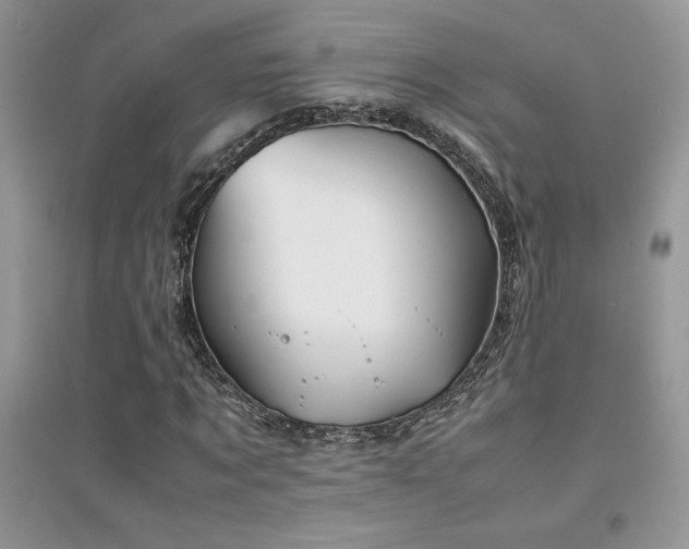 X0000094970869200711291501