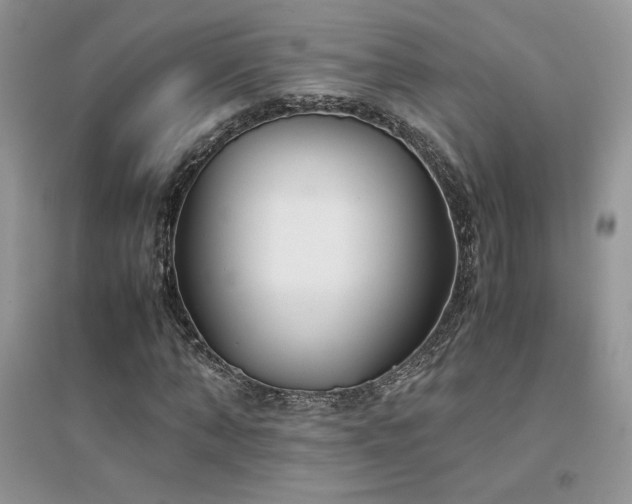 X0000094970870200711291501