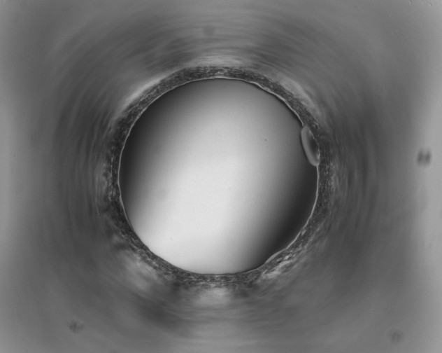 X0000094970872200711291501