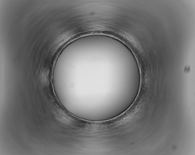 X0000094970873200711291501