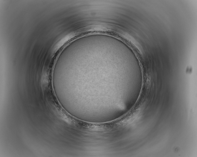 X0000094970874200711291501