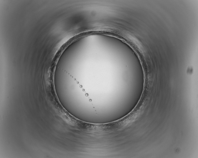 X0000094970875200711291501